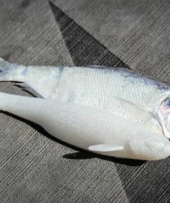 6th Sense Fishing Whale 4.5 Swimbait - Pearl White