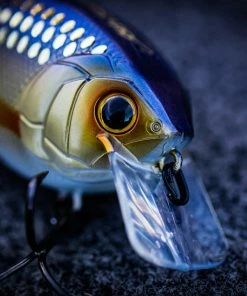 6th Sense Fishing Crush - Live Shiner