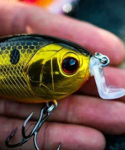 6th Sense Fishing Swank 77X - Gold Reactor