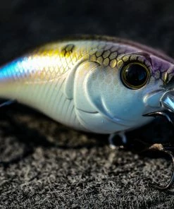 6th Sense Fishing Curve Finesse Squarebill - 4K Shad Lee Livesay Collection