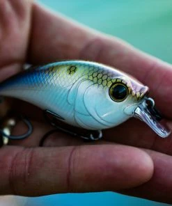 6th Sense Fishing Curve Finesse Squarebill - 4K Shad Lee Livesay Collection