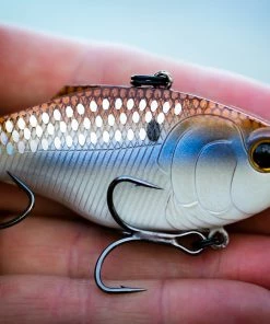 6th Sense Fishing Sale Quake - 4K Gizzard