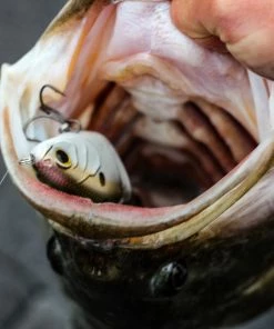 6th Sense Fishing Lee Livesay Collection Trace - 4K Shad