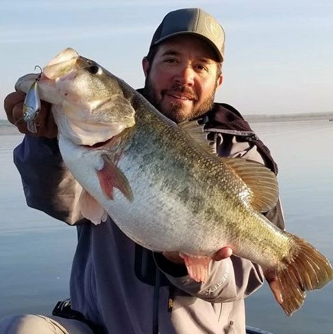 6th Sense Fishing Crush Flat 75X - Shad Fantasy Lee Livesay Collection 5 6th Sense Fishing Crush Flat 75X - Shad Fantasy Lee Livesay Collection