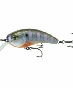 6th Sense Fishing Movement L7 - Bluegill Spawn