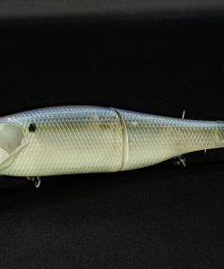 6th Sense Fishing Sales Store 3 6th Sense Fishing The Draw - Live Ghost Threadfin