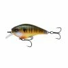 6th Sense Fishing MiniMag SB - Cajun Bluegill Sale 1 6th Sense Fishing MiniMag SB - Cajun Bluegill Sale