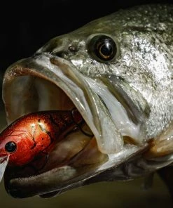 6th Sense Fishing Deals MiniMag SB - Craw Bomb