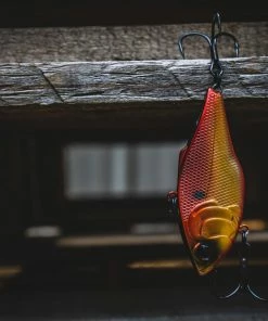 6th Sense Fishing Collections Quake Slow Sink - Brown Eye