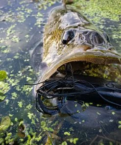 6th Sense Fishing Vega Frog - Black