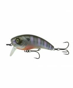 6th Sense Fishing Deals Movement 80WK - Bluegill Spawn