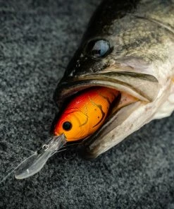 6th Sense Fishing Cloud 9 - Wild Lava Craw