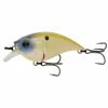 6th Sense Fishing Curve Finesse Squarebill - Bone Reactor