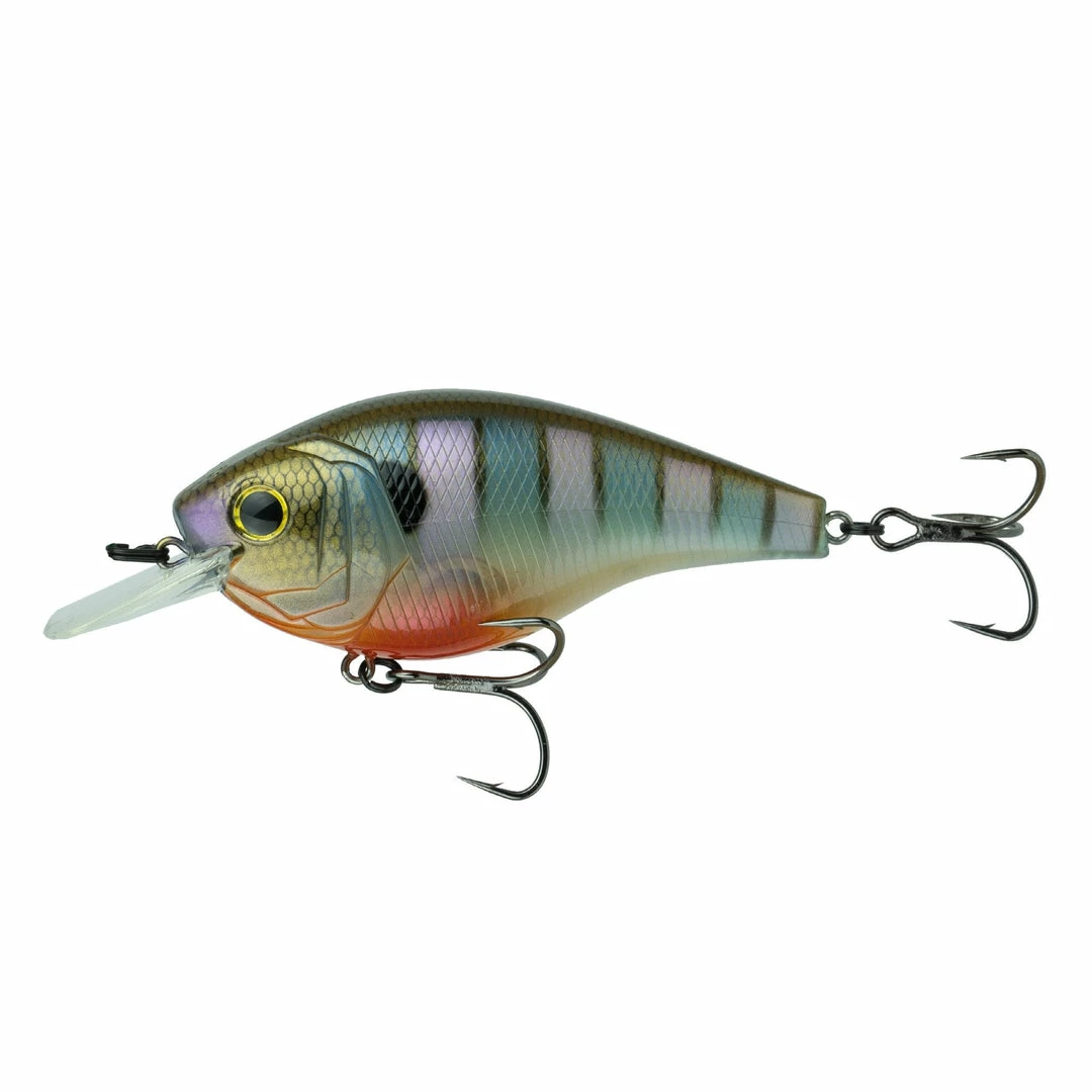 6th Sense Fishing Sale Magnum SB - Bluegill Spawn 3 6th Sense Fishing Sale Magnum SB - Bluegill Spawn