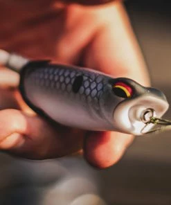 6th Sense Fishing Vega Frog - Shad Spawn