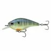 6th Sense Fishing Sale Magnum SB - Tiger Gill
