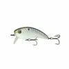 6th Sense Fishing Deals Movement 80WK - Shad Scales